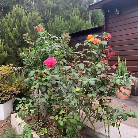 Retiro En La Naturaleza - Desconexion Y Relax Apartamento *