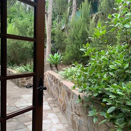 Retiro En La Naturaleza - Desconexion Y Relax