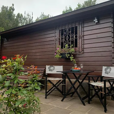 Apartment Retiro En La Naturaleza - Desconexion Y Relax