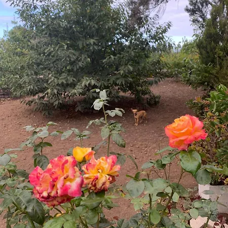 Retiro En La Naturaleza - Desconexion Y Relax Apartment *